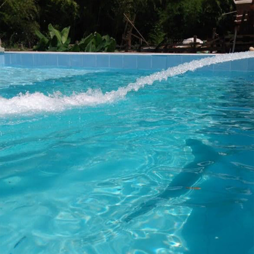 Abastecimento de piscinas via caminhão pipa em Interlagos